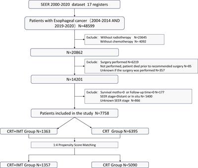 Survival benefit of combined immunotherapy and chemoradiotherapy in locally advanced unresectable esophageal cancer: an analysis based on the SEER database